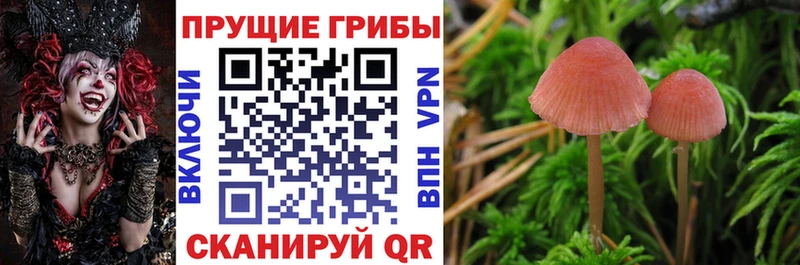Галлюциногенные грибы Magic Shrooms  Купить где  Старая Русса 
