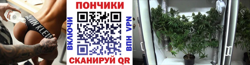 Каннабис план Купить Старая Русса